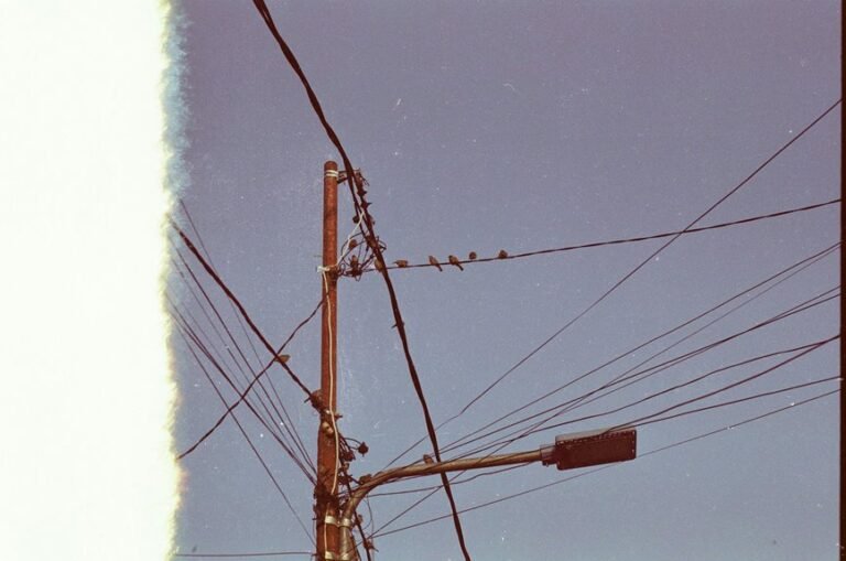 support line available today