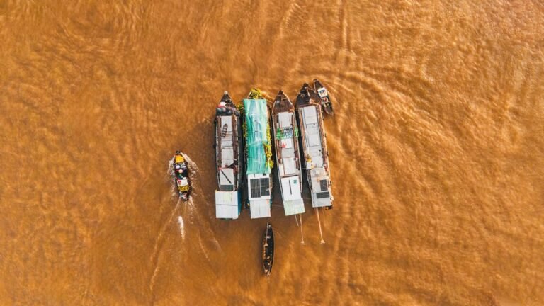 market activity summary report