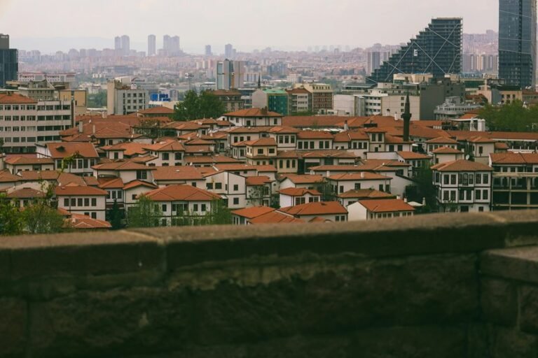 yezickuog5 4 model overview